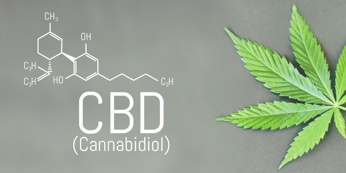 CBD blog