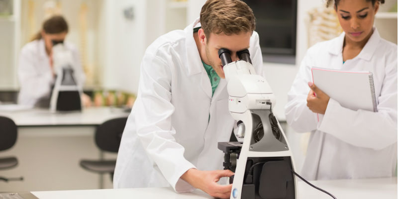 Lab technicians working