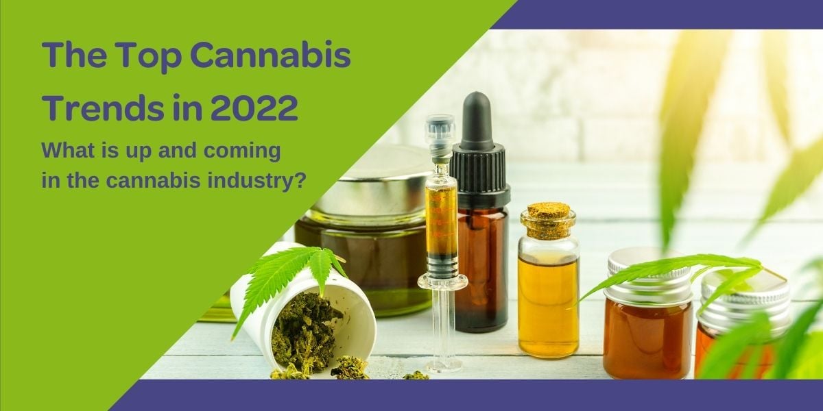 Top Cannabis Trends 2022