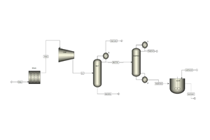 Process Diagram