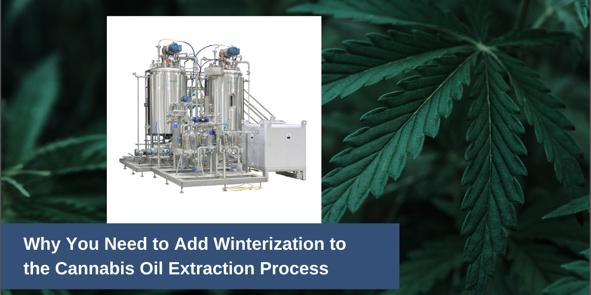 Cannabis Winterization Process